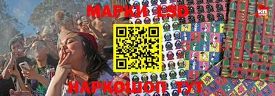 спайс Будённовск