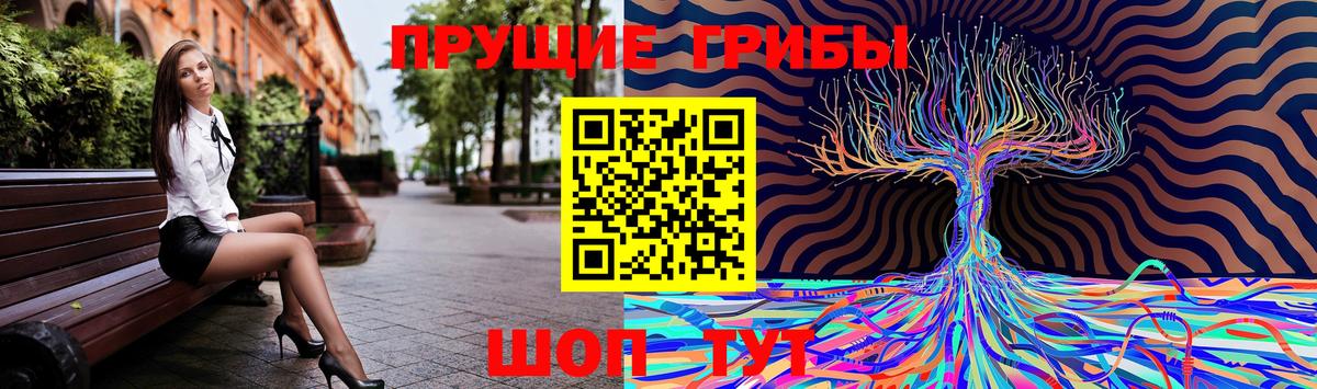 Галлюциногенные грибы Psilocybine cubensis Сорочинск