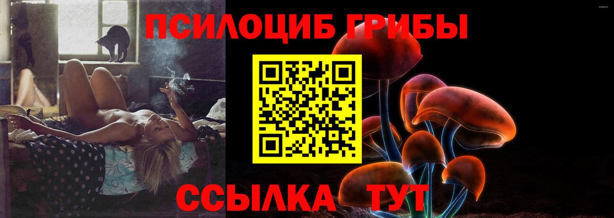 Псилоцибиновые грибы Psilocybe  Вход с VPN  Сорочинск  Галлюциногенные грибы Psilocybe 